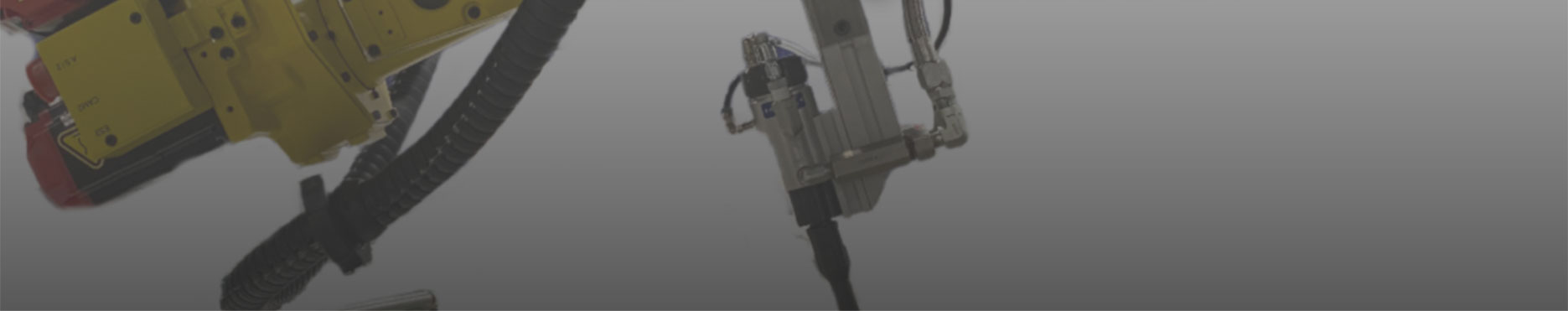 companies-component-bg