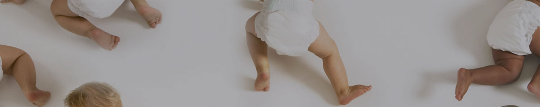 companies-component-bg