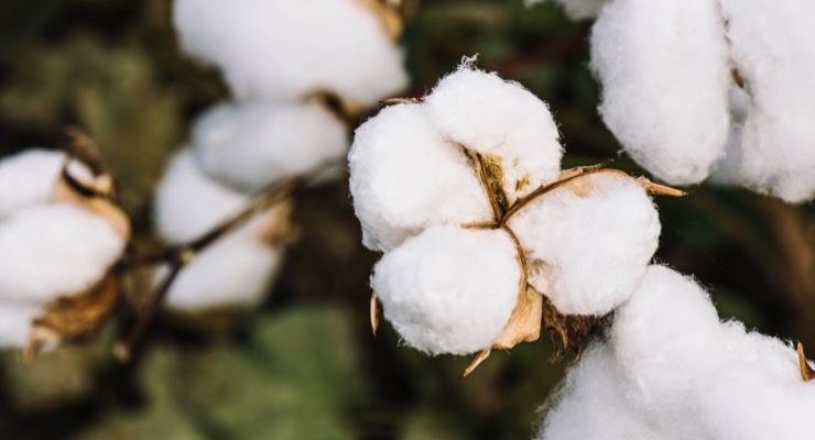 Slideshow: Feminine Hygiene Goes Organic