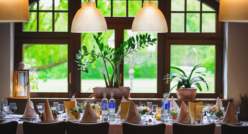 Igor Link/Shutterstock.com